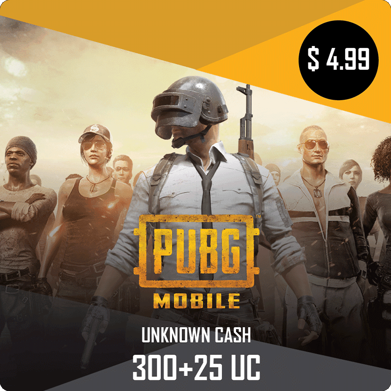 PUBG Pin 300+25 UC